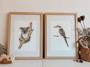 Kingsley the Kookaburra Print
