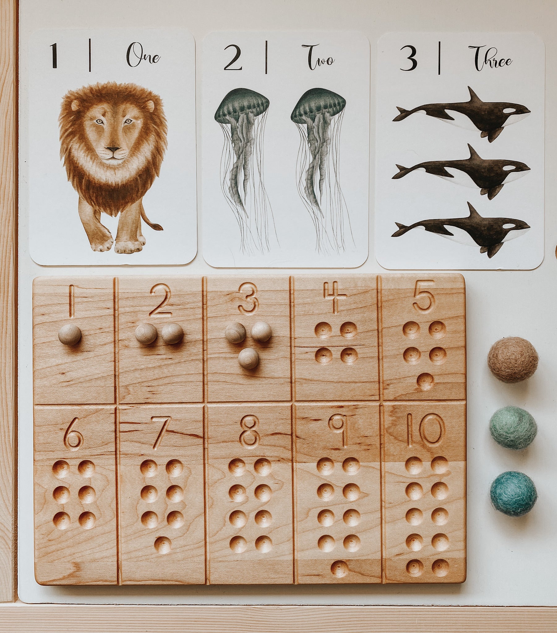 "Nature's 123" Flashcards